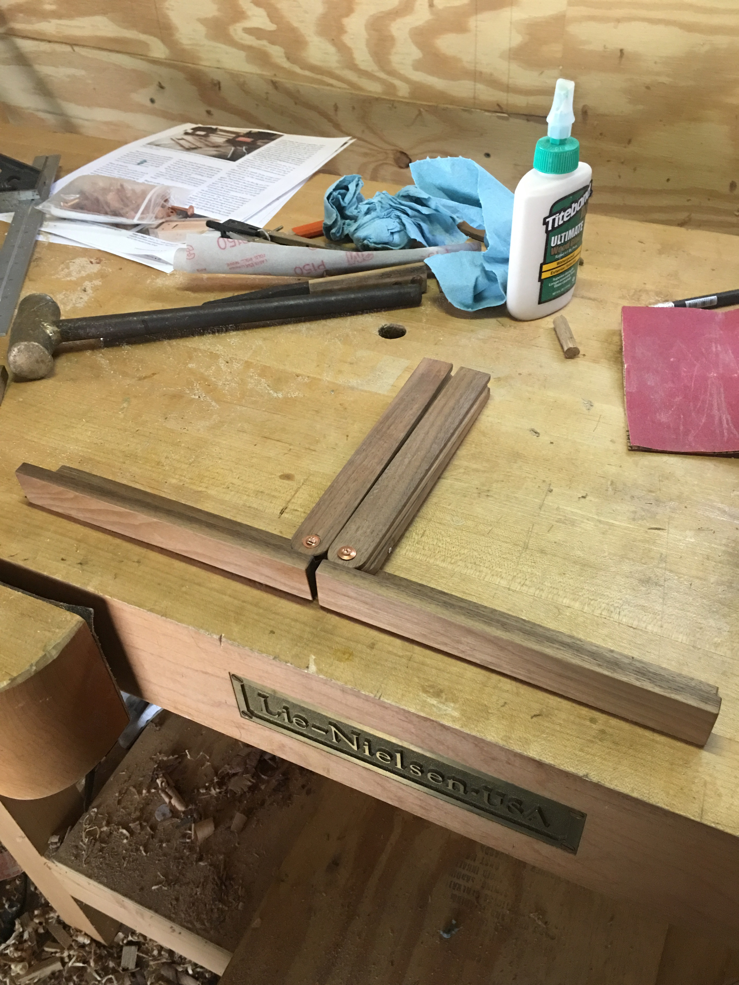 Schematic and PD traces