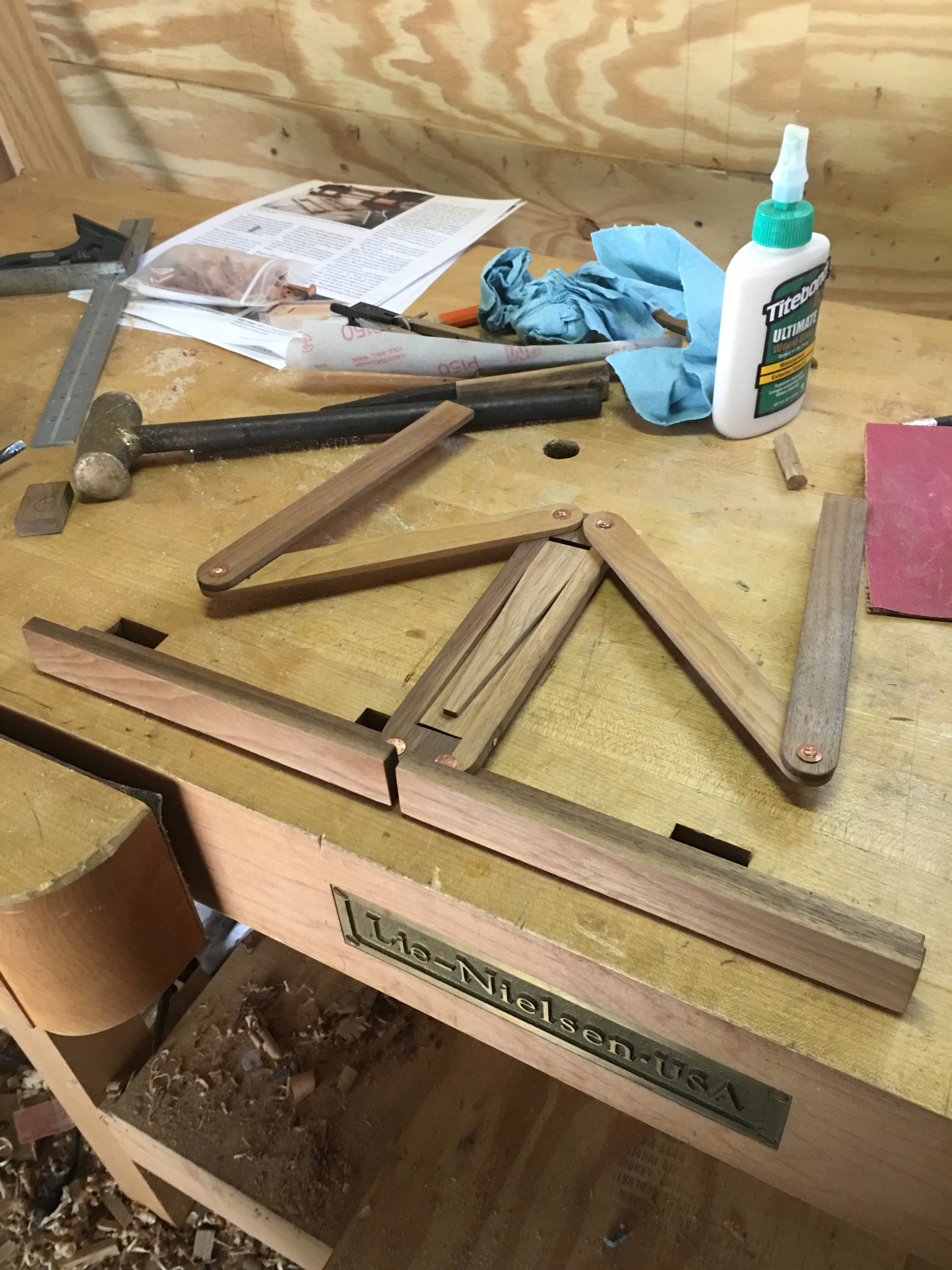 Schematic and PD traces