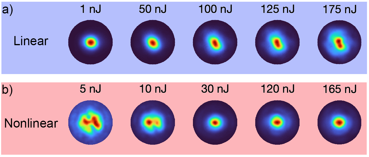 Schematic and PD traces