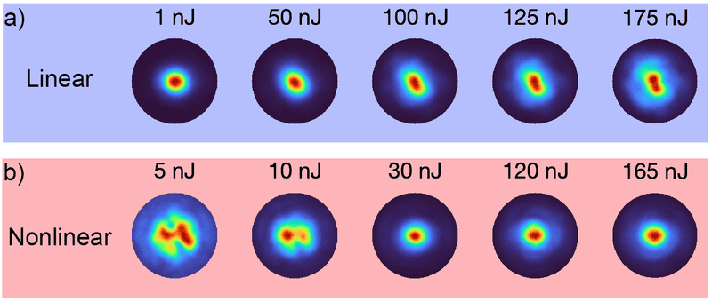 Schematic and PD traces